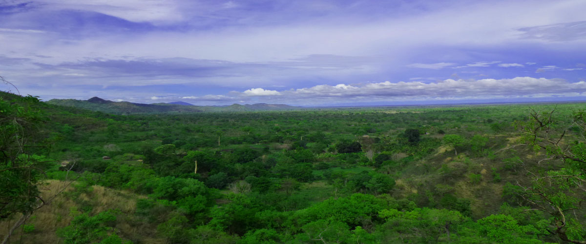 Selous Game Reserve